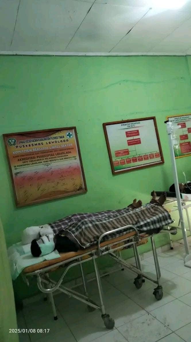 Truk Truk Ekspedisi Tabrak Batu, 3 Orang Tewas dan 4 Orang Selamat di Flores Timur. Truk Truk Ekspedisi Tabrak Batu, 3 Orang Tewas dan 4 Orang Selamat di Flores Timur.