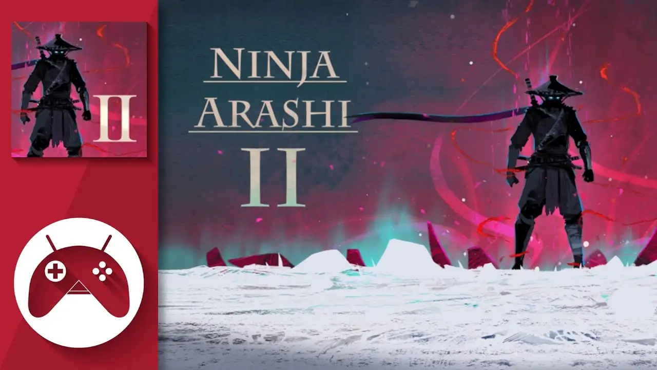 Ninja Arashi - prontt.com
