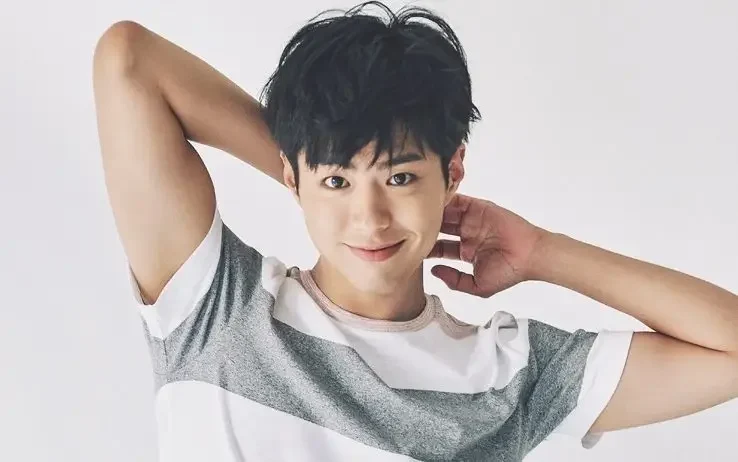 Profil & Fakta Menarik Park Bo Gum Aktor Drama Korea Good Boy