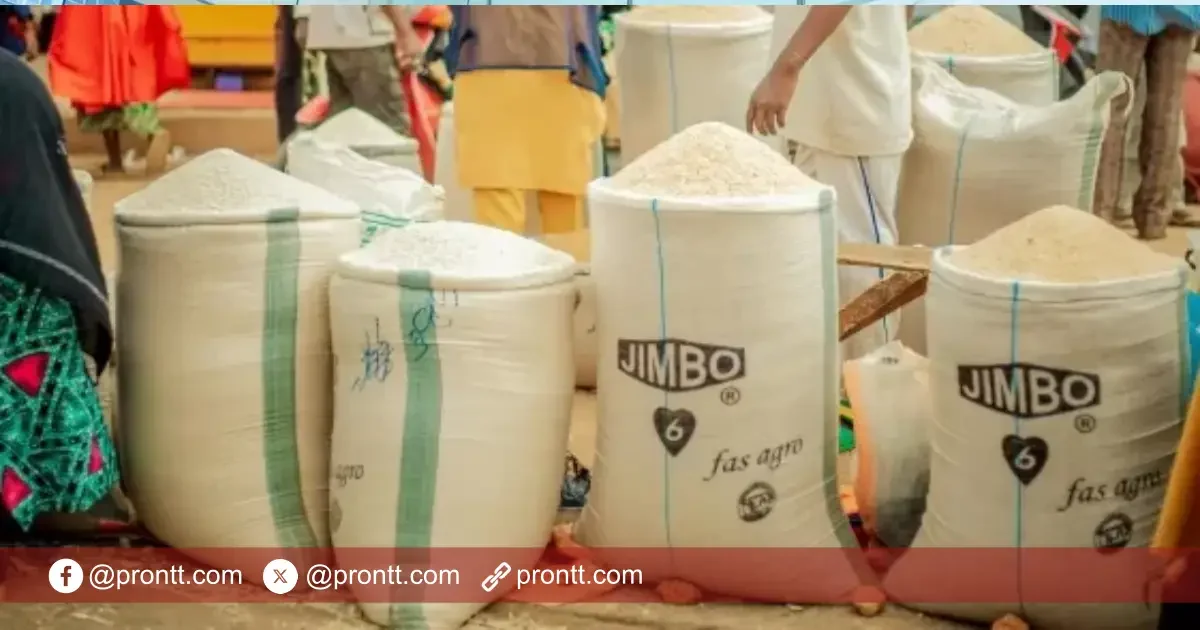 Bantuan Beras 20 Kg untuk KPM Kembali Cair Awal Juli 2025 - Prontt.com