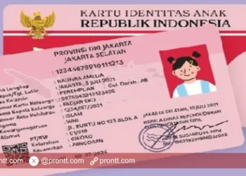 Cara Membuat Kartu KIA Secara Online untuk Anak Anda