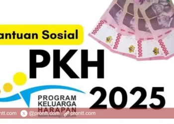 Golongan Penerima PKH 2025 dan Besaran Bantuan, Ibu Hamil sampai Lansia!