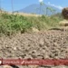 Musim Kemarau Tersebar di 98 Persen Wilayah NTT, Ini Kata BMKG