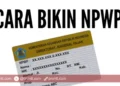 Simak Cara Membuat NPWP untuk Beasiswa Unggulan 2025 Terbaru