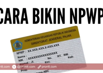 Simak Cara Membuat NPWP untuk Beasiswa Unggulan 2025 Terbaru