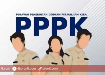 Sudah Lulus P3K Tapi Dibatalkan, Honorer Asal Atambua Surati Gubernur NTT