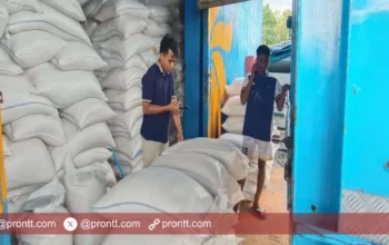 BULOG Rote Ndao perluasan kemitraan dengan kelompok tani di Kecamatan Landu Leko