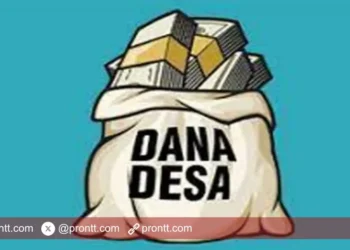 Beberapa Kontraktor Diduga Mulus Dapat Proyek Dana Desa dari Korkab P3MD Alor