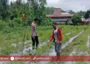 Bripda Yanuarius Andreas Oso, Bhabinkamtibmas Bowali Dukung Petani Wujudkan Swasembada Pangan