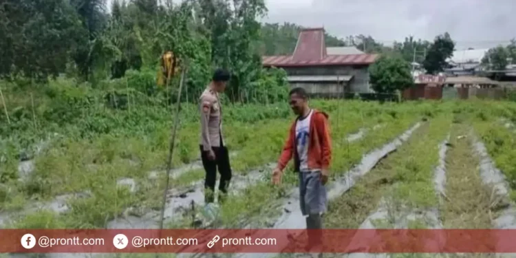 Bripda Yanuarius Andreas Oso, Bhabinkamtibmas Bowali Dukung Petani Wujudkan Swasembada Pangan