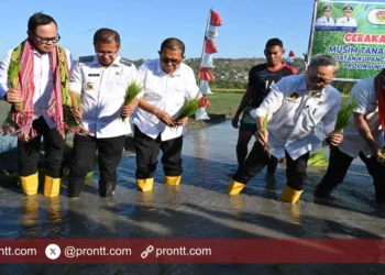 Dukung Ketahanan Pangan, Pemerintah akan Bangun Irigasi di Noelbaki Kupang