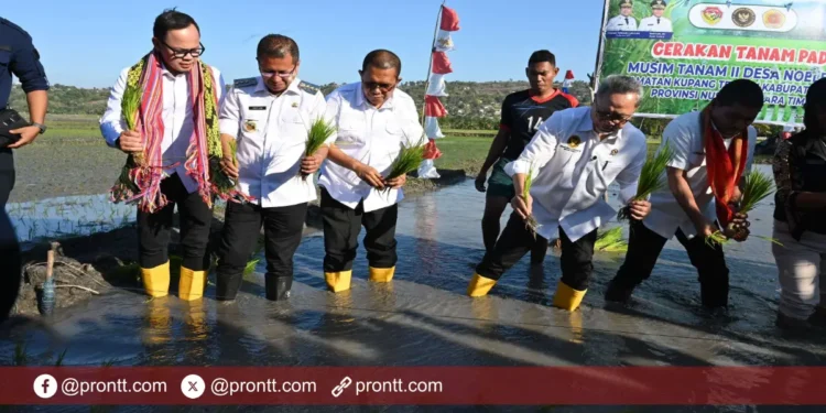 Dukung Ketahanan Pangan, Pemerintah akan Bangun Irigasi di Noelbaki Kupang
