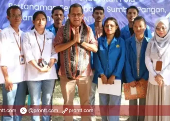 Gubernur NTT apresiasi hasil riset Pakan, Ingin Jadi Role Model Peternakan
