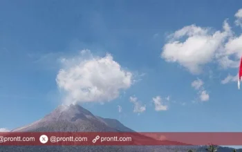 Gunung Lewotobi Laki-Laki kembali Erupsi 800 Meter