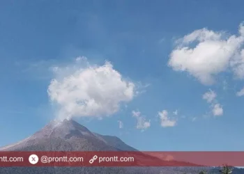 Gunung Lewotobi Laki-Laki kembali Erupsi 800 Meter