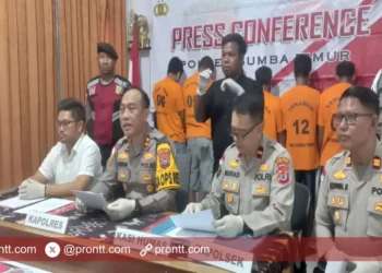 Kasus Pencurian Sapi Berulang, Polres Sumba Timur Bekuk Para Pelaku!
