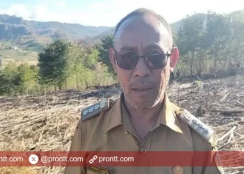 Konflik Perbatasan Indonesia-Timor Leste di Desa Inbate dipicu Kesepakatan Patok Baru Tahun 2005
