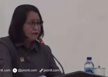 Meningkatnya Kasus Kekerasan dan Penganiayaan di Kab Sikka, DPRD Desak Patroli Rutin