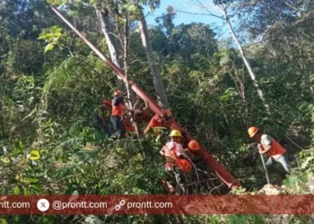 PLN Terangi 38 KK di Dusun Busulaten, Hadiah HUT RI ke 80 untuk Daerah 3T