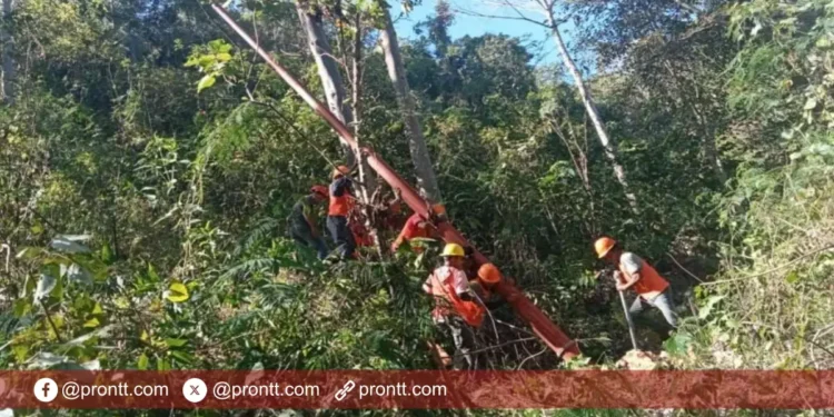 PLN Terangi 38 KK di Dusun Busulaten, Hadiah HUT RI ke 80 untuk Daerah 3T