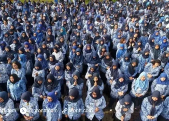 Pengusulan PPPK Paruh Waktu 2025, Cara Cek dan Jadwalnya!