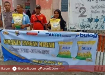 Polres Ende Salurkan 24 ton beras ke masyarakat melalui Gerakan Pangan Murah (GPM)