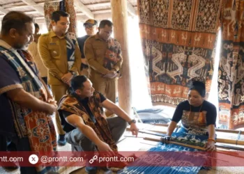 Rumah Tenun Hamuhori–Hamuhara di Kunjungi Dua Menteri dan Wakil Gubernur NTT