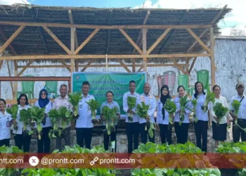 Rutan Kefamenanu suskes Panen Perdana Sayuran Holtikultura