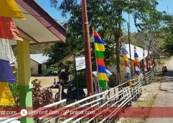 Sambut HUT Kemerdekaan RI, SDN Sekutren Belu Siap Memeriahkan!