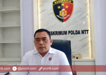 Telantarkan Rumah Tangga, Anggota DPRD Kota Kupang ini Resmi Jadi Tersangka