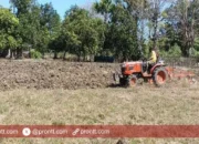 Tingkatkan ketahanan pangan dan berdayakan ekonomi masyarakat, Pemdes Dualaus Buka Lahan Baru!