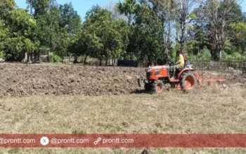 Tingkatkan ketahanan pangan dan berdayakan ekonomi masyarakat, Pemdes Dualaus Buka Lahan Baru!