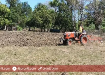 Tingkatkan ketahanan pangan dan berdayakan ekonomi masyarakat, Pemdes Dualaus Buka Lahan Baru!