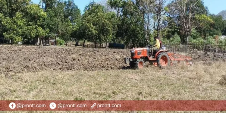 Tingkatkan ketahanan pangan dan berdayakan ekonomi masyarakat, Pemdes Dualaus Buka Lahan Baru!