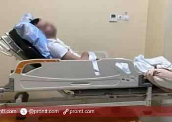 Turis Mesir Minta Ganti Rugi Rp 28,4 M ke Hotel Lombok akibat Digigit Ular Berbisa