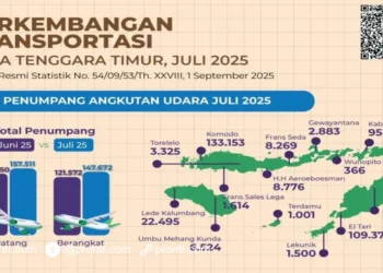BPS NTT Rincikan Perkembangan Transportasi di NTT pada bulan Juli 2025