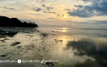 Berburu Sunset di Pantai Afuik Atambua