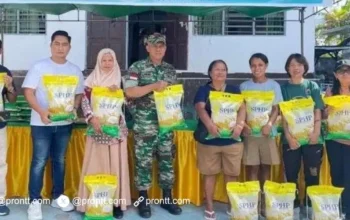 Bulog Kalabahi Gelar Gerakan Pangan Murah Serentak, Perkuat Distribusi Pangan