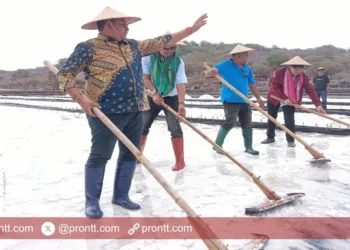 Bupati TTU Panen Perdana Garam Desa Oepuah, Target Produksi Satu Juta Ton Garam per Tahun