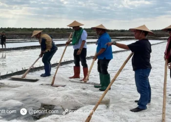Bupati TTU Yoseph Falentinus Delasalle Kebo: Ingin TTU Menjadi Lumbung Garam Indonesia
