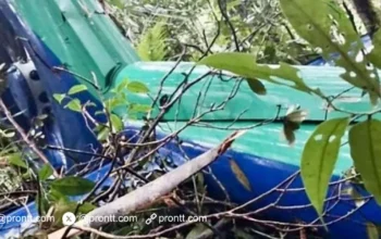 Lokasi Helikoter yang Jatuh di Kalsel ditemukan Tim SAR
