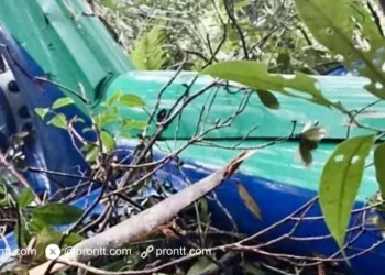 Lokasi Helikoter yang Jatuh di Kalsel ditemukan Tim SAR