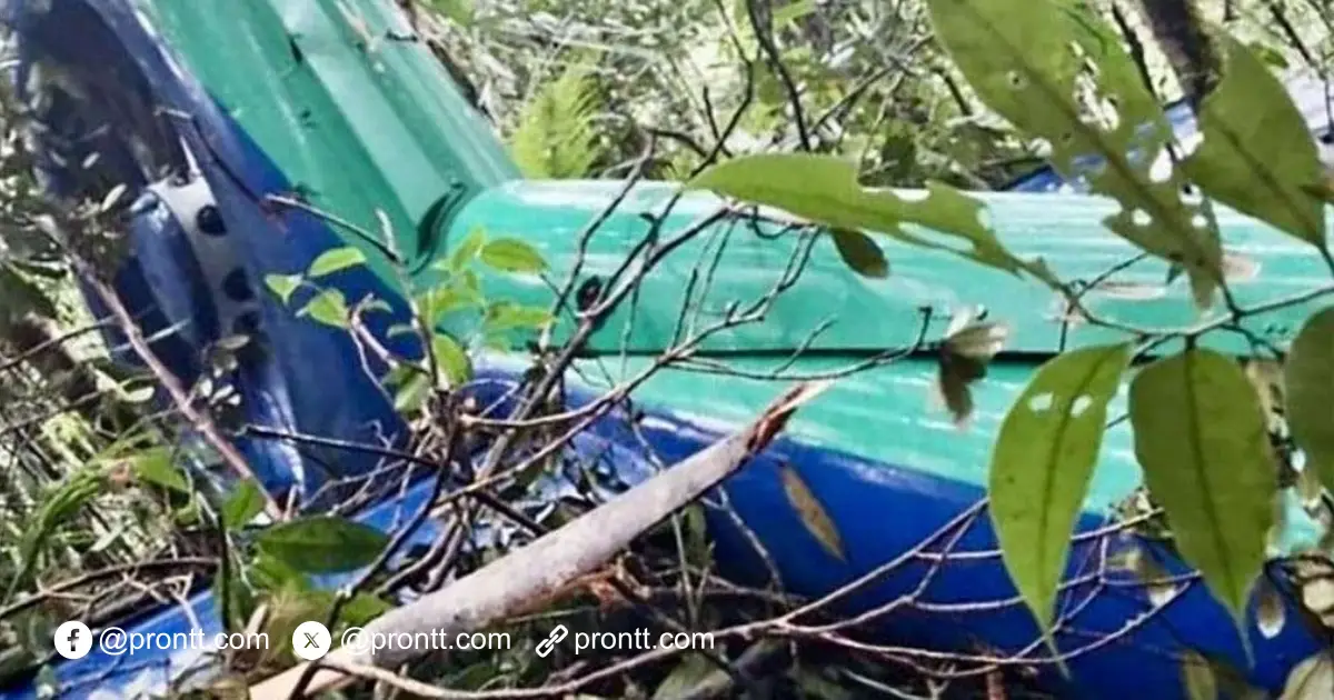Lokasi Helikoter yang Jatuh di Kalsel ditemukan Tim SAR