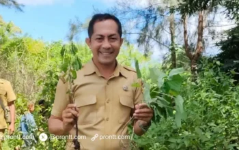 SDN Fohomane Terus Berprogres dan Bertransformasi Menuju sekolah Ekowisata