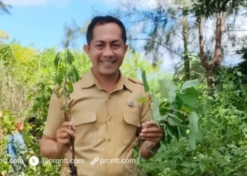 SDN Fohomane Terus Berprogres dan Bertransformasi Menuju sekolah Ekowisata